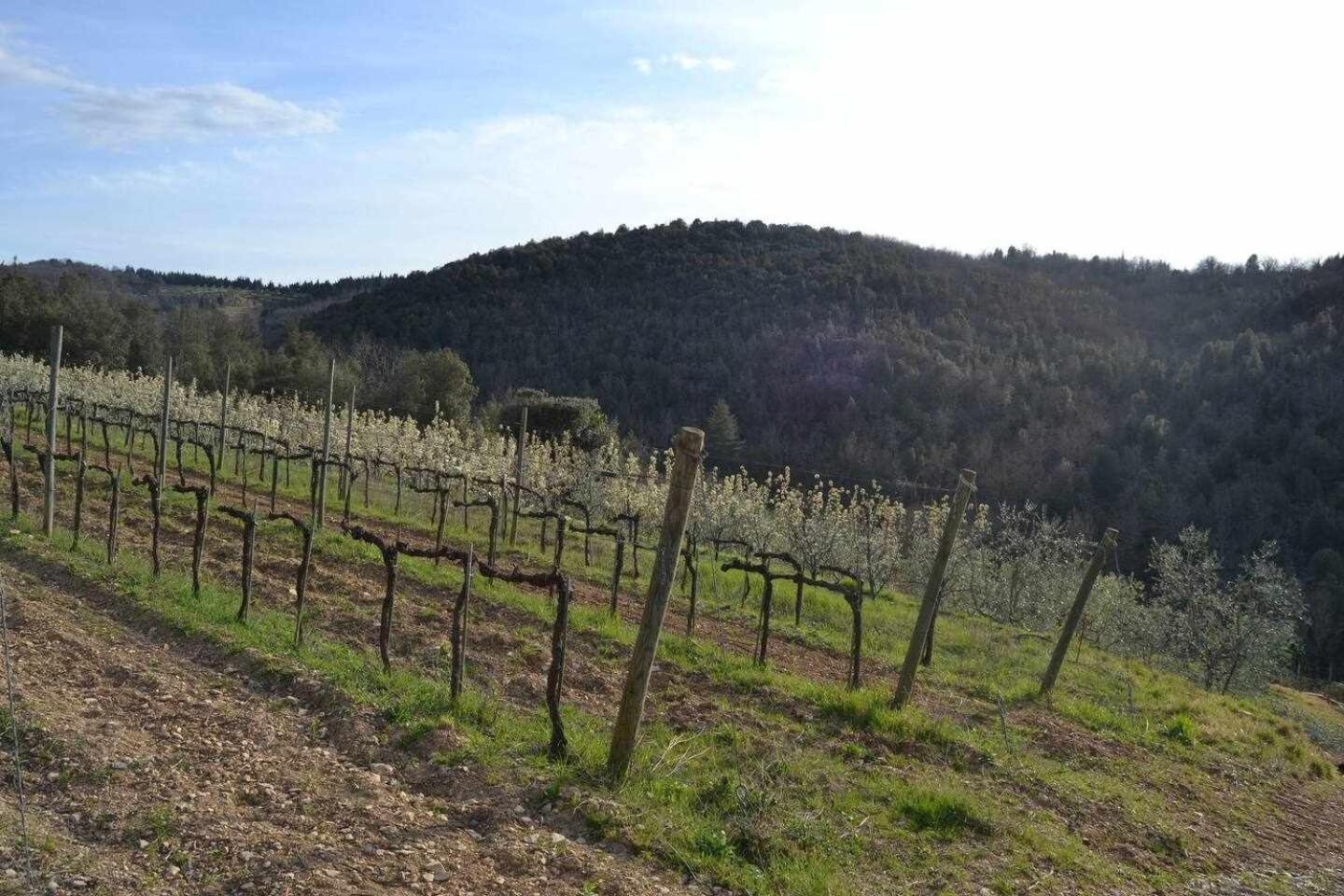 Agriturismo San Silvestro San Donato in Poggio Exteriér fotografie